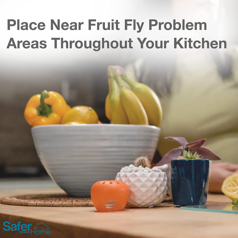 Safer Brand Safer Home SH500 Indoor Fruit Fly Trap  Ready-to-Use, Non-Staining, No Chemical Insecticides, Blue - NewNest Australia