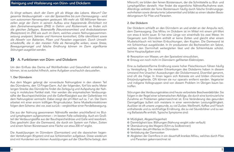 Wellnest ClarkIntest Herbal Bitters Concentrate 100 ml | Intestinal detox treatment vegan | Recipe according to Hulda Clark | With, among other things, black walnut, olive leaf, clove - NewNest Australia