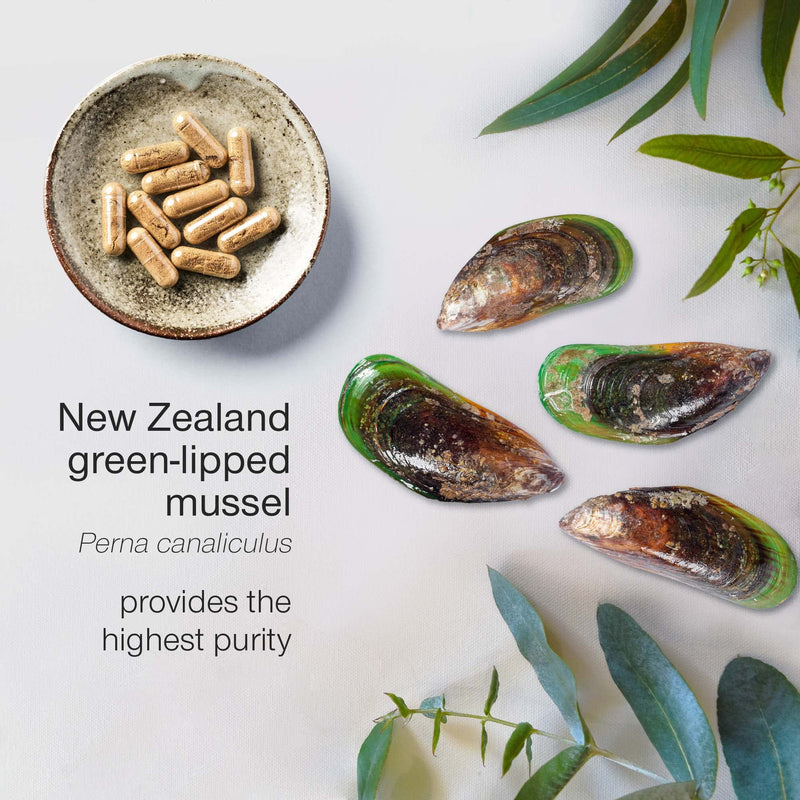 Green Lipped Mussel Capsules 1000mg - Pure New Zealand Green Lipped Mussel Powder for Humans & Dogs - 90 Tablets - High Strength Supplement 500mg per Capsule - Made in The UK - NewNest Australia