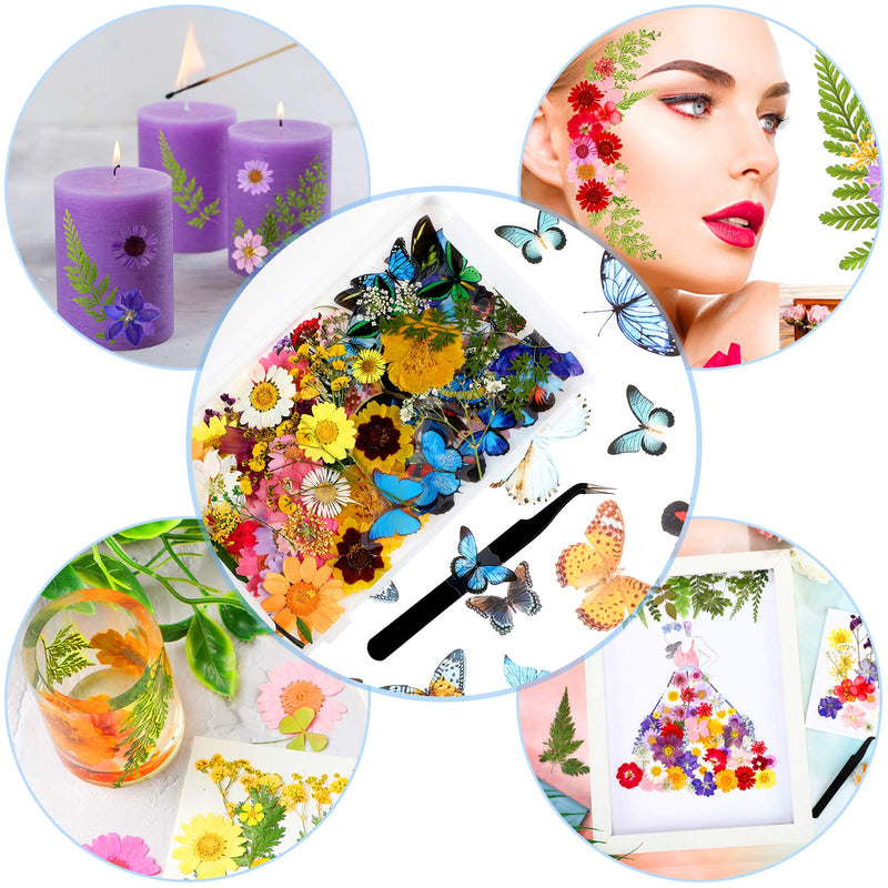 Dried Pressed Flower and Butterfly Transparent Sticker Set, Natural Real Dried Flower Butterfly Scrapbook Decal with Box and Curved Tweezers for DIY Decoration Resin Making (Bright Series) Bright Series - NewNest Australia