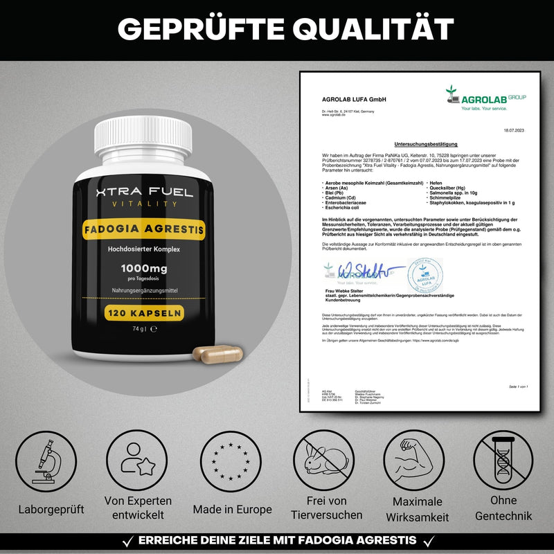 Fadogia Agrestis | 1000mg daily dose | 120 capsules (high dosage) | Natural Fadogia Agrestis Extract (10:1 Formula) | Popular with athletes and active people | Vegan and laboratory tested - NewNest Australia