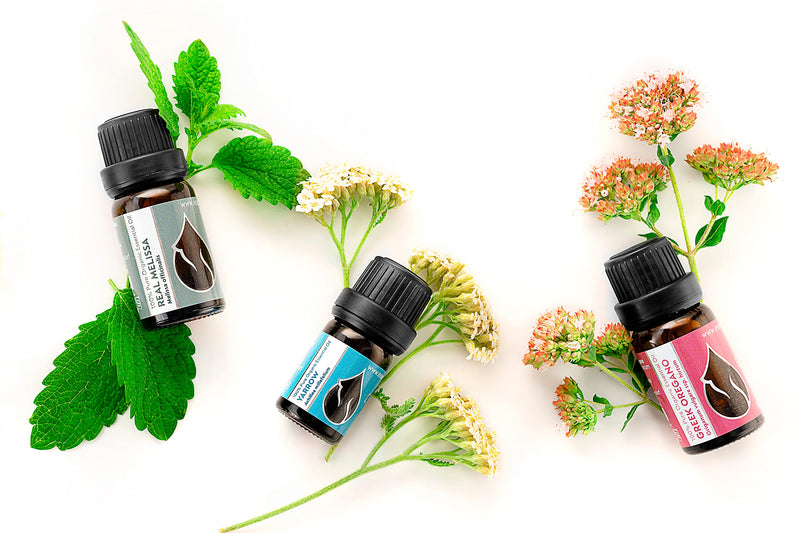 Essences Bulgaria Organic Mountain Oregano Oil 10 Ml | Origanum Vulgare Var. Hirtum | 100% Natural | Undiluted | Organic Certified | Top Quality From Family Business | No Genetic Engineering | Vegan - NewNest Australia