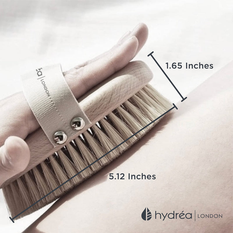 Hydrea London Body Brush - Exfoliating Dry Scrubber, Cellulite Remover, & Skin Exfoliator, Helps Improve Lymphatic Flow - 100% Vegan, FSC® Certified Beechwood, & Natural Cactus Bristle Body Brush Only - NewNest Australia