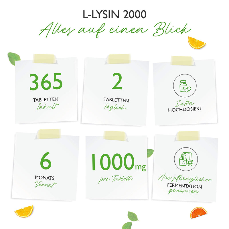 L-Lysine 2000-365 tablets - 1000 mg per ONE tablet - From plant fermentation - Laboratory tested - Without unwanted additives - High dosage - for vegan, immune system 365 pieces (pack of 1) - NewNest Australia