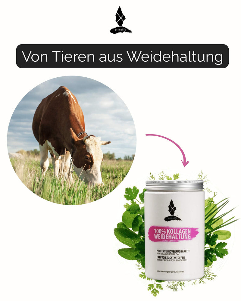 primalife - Collagen made from Grazing - 100% Pure Collagen Hydrolysate - 500 g - without Additives - Optimal for Paleo, Atkins, Keto and Low Carb Nutrition - Produced in Germany - NewNest Australia