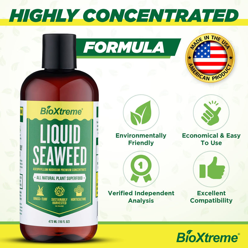 BIOXTREME Natural Liquid Seaweed Concentrate Helps to Increase Crop Yields, Plant Stress Resistance, Root Growth & Plant Development, Nutrient Uptake - 16 FL OZ - NewNest Australia