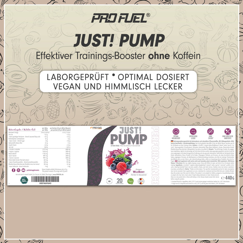 Pump Booster Without Caffeine Wild Berry 440 G ‚ Innovative Pump Formula Made Of Amino Acids And Plant Extracts ‚ High Dose Pre Workout Booster Caffeine Free ‚ Made In Germany ‚ 100% Vegan - NewNest Australia