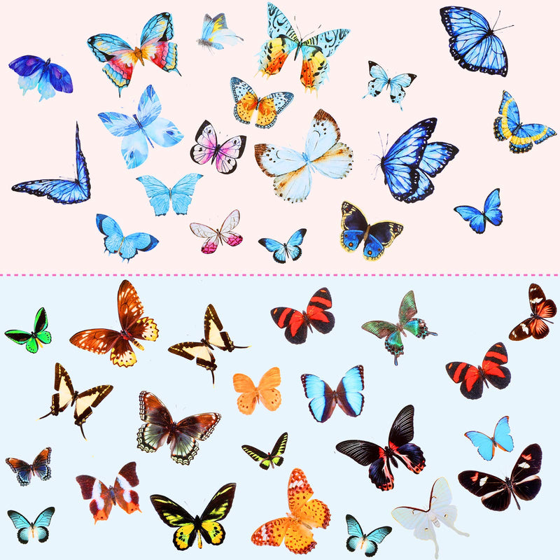 Dried Pressed Flower and Butterfly Transparent Sticker Set, Natural Real Dried Flower Butterfly Scrapbook Decal with Box and Curved Tweezers for DIY Decoration Resin Making (Bright Series) Bright Series - NewNest Australia
