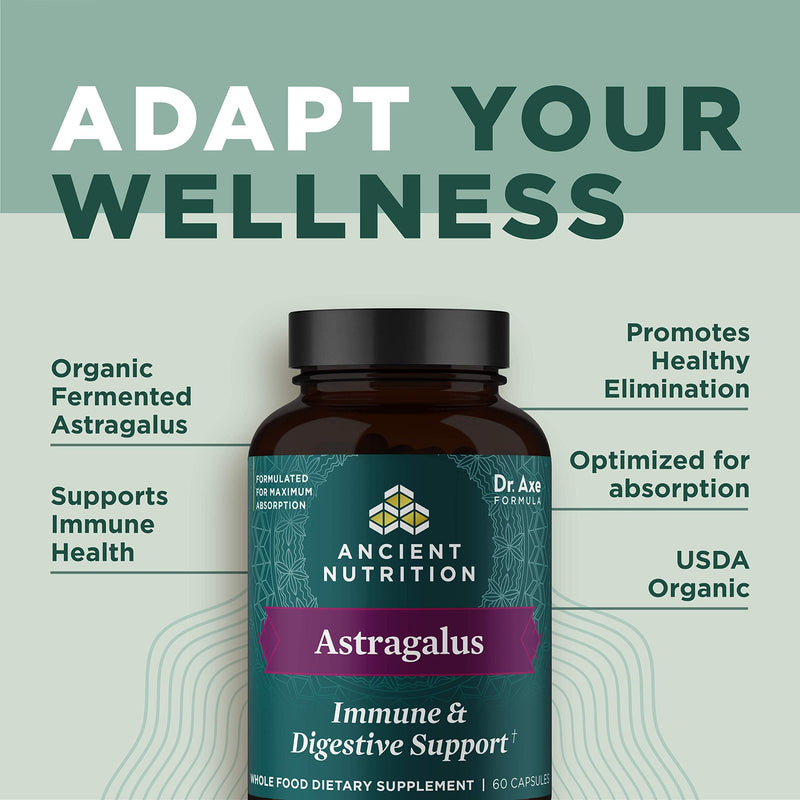 Probiotics and Astragalus Supplement Capsules by Ancient Nutrition, Provides Occasional Diarrhea, Constipation, Gas and Bloating Relief, Paleo and Keto Friendly, 60 Capsules Astragalus + Probiotics (60 count) - NewNest Australia