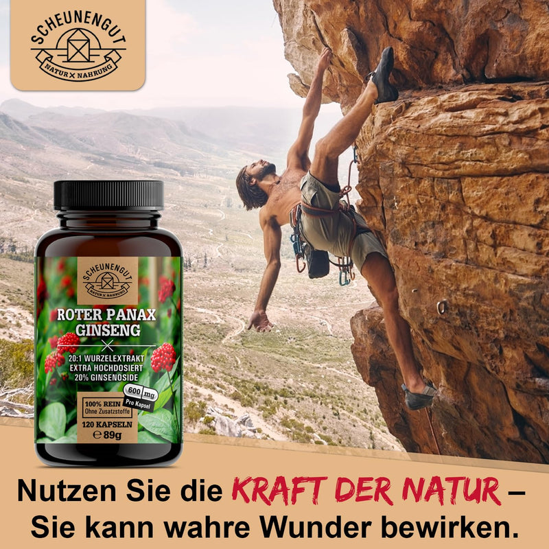 Roter Panax Ginseng Kapseln -1800Mg Je Tagesdosis- Wichtig: 20:1 Extrakt (=12000Mg Ginseng Je Kapsel) I Maximale Bioverf√ºgbarkeit I 20% Ginsenoside I 120 St√ºck I Aus Deutschland I Scheunengut - NewNest Australia