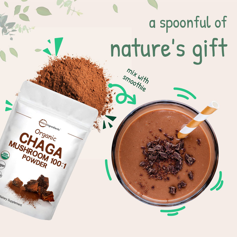 Sustainably Maine Grown, Wild Harvest Organic Chaga Mushroom Extract 100:1 Powder, Chaga Tea, 6 Ounce, Superfood for Beverage and Smoothie, Vegan Friendly 6 Ounce (Pack of 1) - NewNest Australia