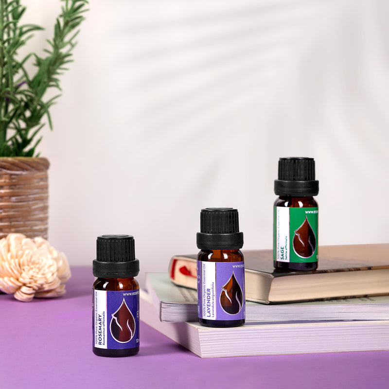 Essences Bulgaria Organic Sage Essential Oil 10 Ml | Salvia Officinalis | 100% Natural | Undiluted | Organic Certified | Top Quality From Family Business | No Genetic Engineering | Vegan - NewNest Australia