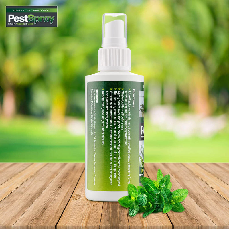 EFA International Houseplant Bug Spray, PestSpray, Natural Pest Repellent & Fungicide, Plant Spray, Bug Control Repellent, Peppermint Oil Spray, Indoor Plants, 150ml Spray Bottle - NewNest Australia
