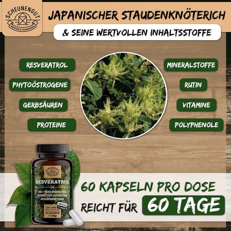 Resveratrol -1000Mg Per Daily Dose- Important: 100:1 Extract (=50,000Mg Japanese Knotweed Root Per Dose) + Piperine I 98% Trans-Resveratrol High Dose I Laboratory Tested I From De I Scheunengut - NewNest Australia