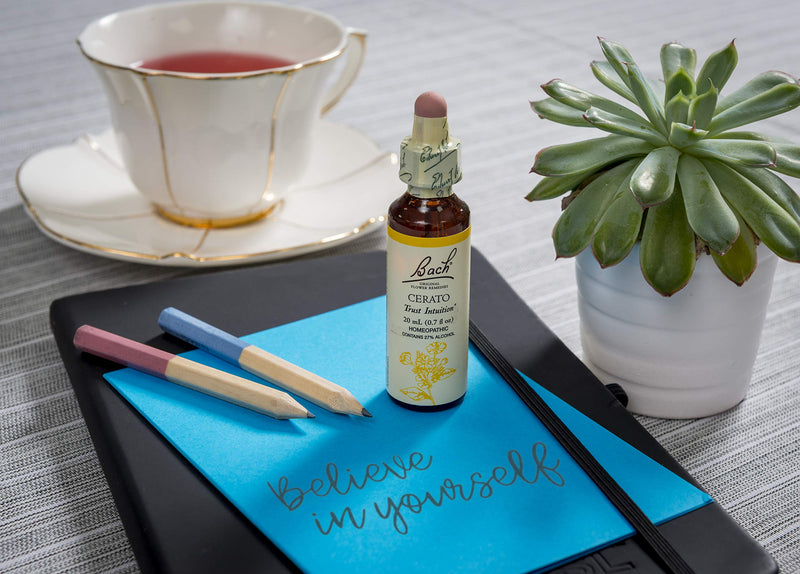 Bach Original Flower Remedies, Cerato for Trusting Intuition, Natural Homeopathic Flower Essence, Holistic Wellness and Stress Relief, Vegan, 20mL Dropper - NewNest Australia