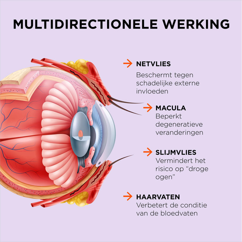 ZeaForce – perfect vision with just 1 capsule/day. Concentrated composition. Diverse effect. Liquid formula for faster action. - NewNest Australia