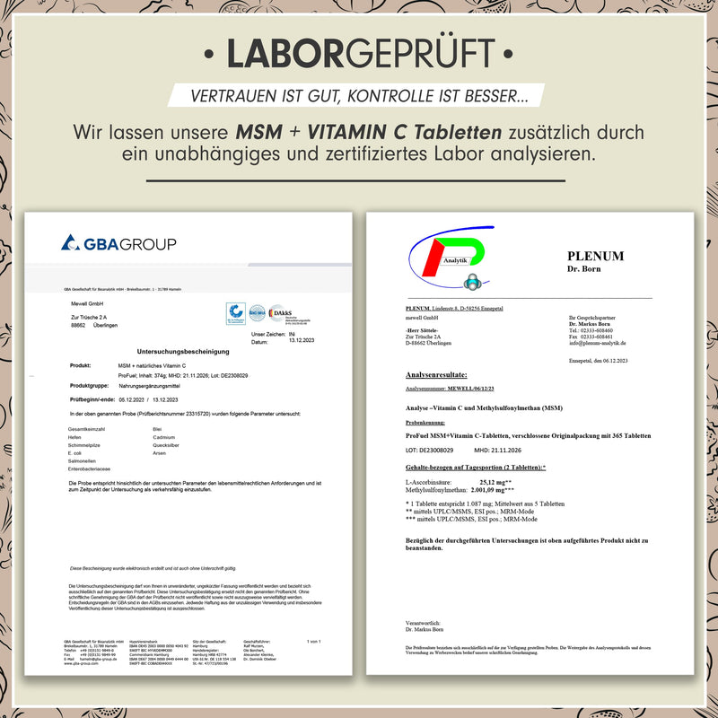 MSM 2000 mg per day + natural vitamin C - 365 tablets with methylsulfonylmethane - more compact powder than capsules - high dose with 1000 mg per MSM tab - vegan & without additives 365 pieces (pack of 1) - NewNest Australia