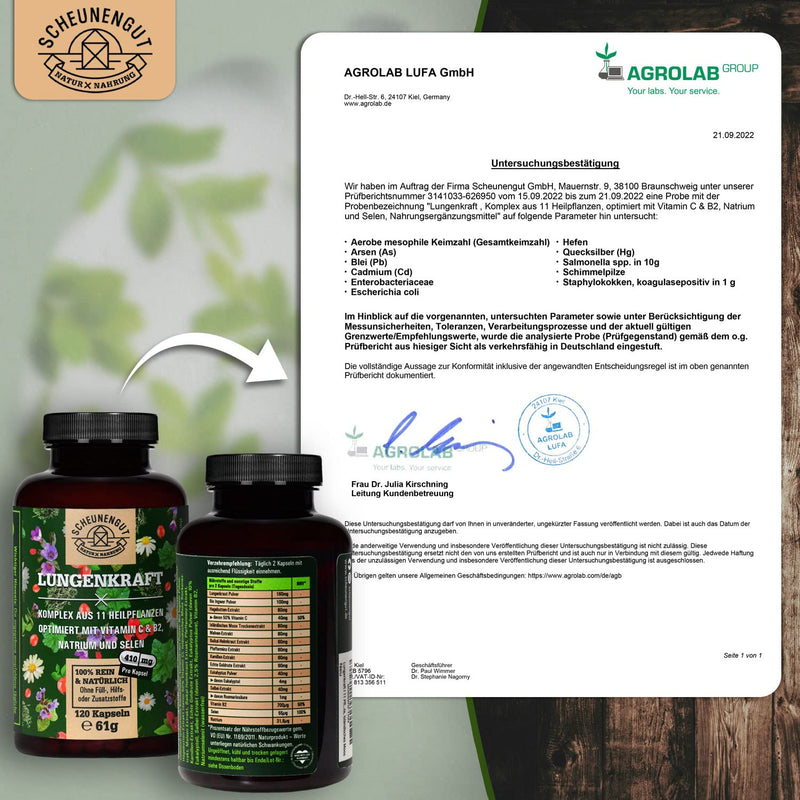 Lungenkraft Lungwort Capsules Strong - Important: Laboratory-Tested 14-Fold Complex With Lungwort, Ginger, Rose Hip, Icelandic Moss, Selenium, Sage And More I 120 Capsules I From De I Scheunengut - NewNest Australia