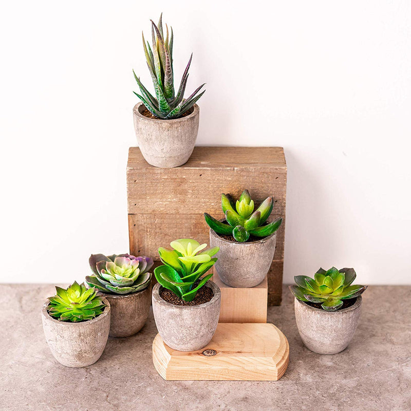 NewNest Australia - 6 Pots Small Artificial Succulent Plants Mini Fake Faux Suculentas Pot For Shelf Kitchen Counter Office Decor Tiny Miniature Desk Plant Succulents Decoration Accessories Potted Plastic Cactus Aloe Green Succulents Without Box 