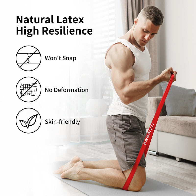 PROIRON Resistance Bands, Resistant Bands, Exercise Bands Resistance for Women and Men, Stretch Bands for Exercise, Gym Bands Set of 5 with Guide and Carrying Bag #1 classic set - NewNest Australia