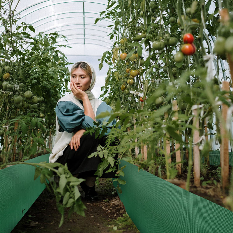 Garden Bags to Grow Vegetables with 6 Partition Grids,Durable PE Raised Garden Bed,Suitable for Potato,Tomato,Flower Planter Bags (1) 1 - NewNest Australia