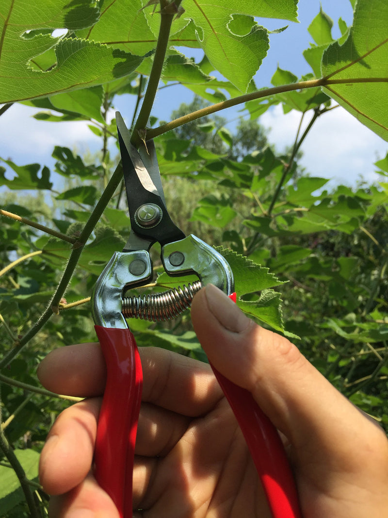 gonicc Professional Micro-Tip Pruning Snip (GPPS-1008), Small Garden Hand Pruner & Shears for Arranging Flowers, Trimming Plants & Hydroponic Herbs, and Harvesting Fruits & Vegetables. - NewNest Australia