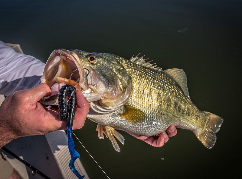 Berkley PowerBait Power Worms Electric Grape 6.75 Inches - NewNest Australia