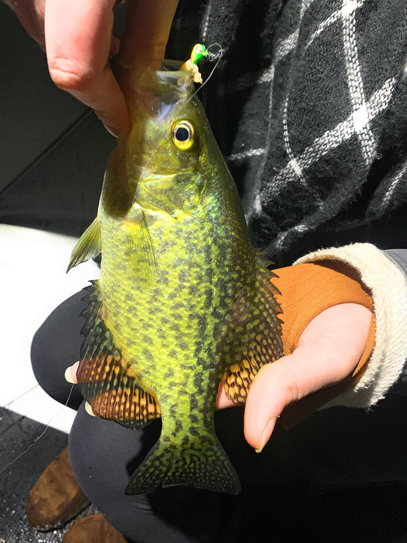 Rick's Jigs Tungsten Teardrop Glow Jig Set of 10 (5mm) - NewNest Australia