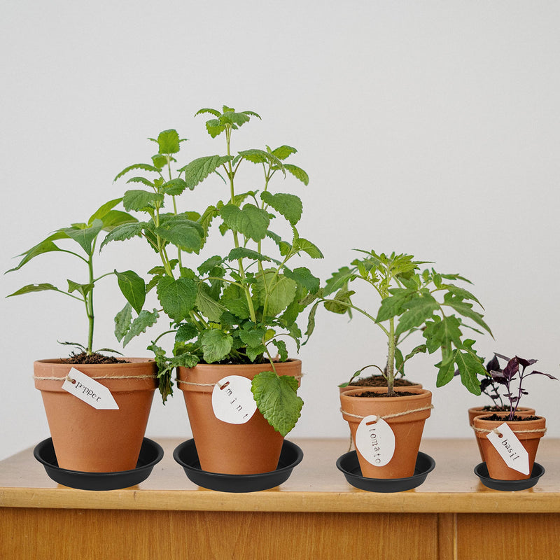 Bleuhome 6 Pack of 4 inch Plant Saucer, Heavy Duty Plastic Plant Drip Trays 4" Round, Plant Dishes Saucer, Flower Plant Trays for Indoors, Plate for Planter 2"/3"/4" (Black) 4inch Black - NewNest Australia