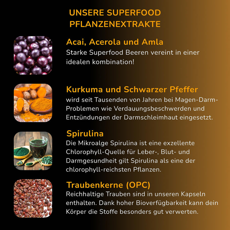 Premium Multivitamin And Mineral Complex - 120 High Dose Capsules - Essential Az Vitamins, Minerals And Superfood Plant Extracts - Laboratory Tested And Made In Germany - Vegan - NewNest Australia