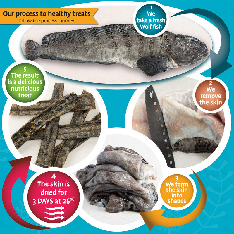 SKIPPER'S Wolf Fish Skin Flatties - Air Dried Grain Free Dog Treats, Healthy & Long Lasting Natural Dog Dental Chews, High in Protein with Essential Omega 3 & 6 Oils | Great for Teeth Regular (250g) 250 g (Pack of 1) - NewNest Australia