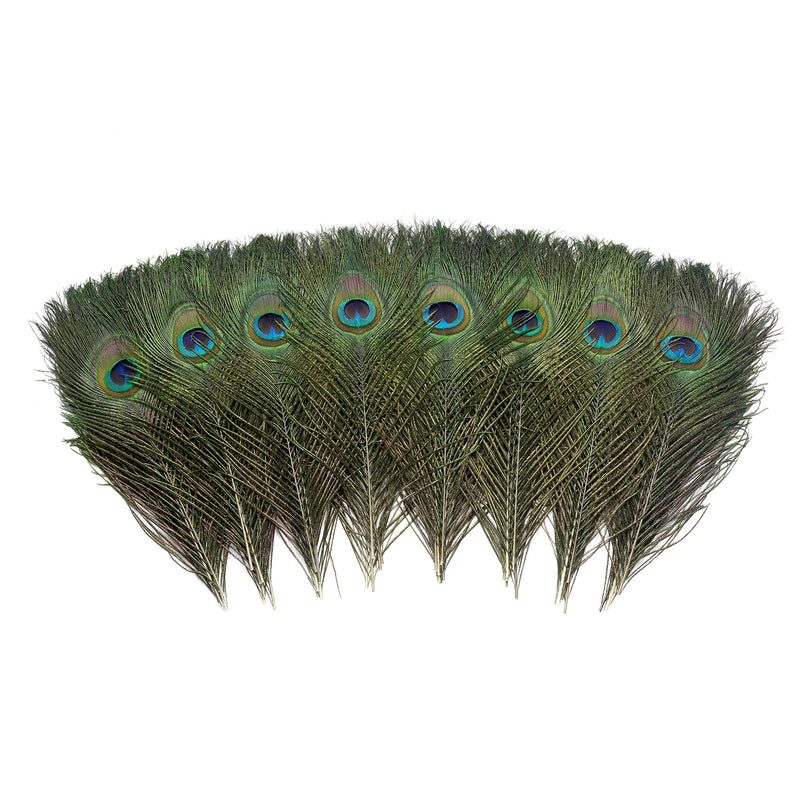 12 PCS Real Natural Peacock Eye Feathers 10-12 inch for DIY Craft, Wedding and Holiday Decorations 12 - NewNest Australia