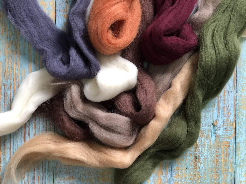 T.F GHG Needle Felting Wool Roving 8 Colors Set,15G/Color Total 120G/4.23OZ, 100% Natural Wool for Felting Yarn Craft Supplies, Needlecrafts for Starter Beginner (Earth) Earth - NewNest Australia