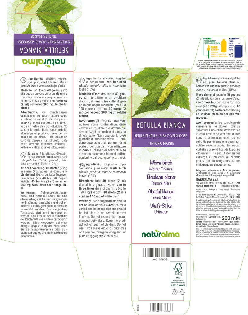 White Birch (Betula pendula, alba or verrucosa) Leaves Alcohol-Free Mother Tincture Naturalma | Liquid Extract Drops 200 ml | Food Supplement | Vegan 200 ml (Pack of 1) - NewNest Australia