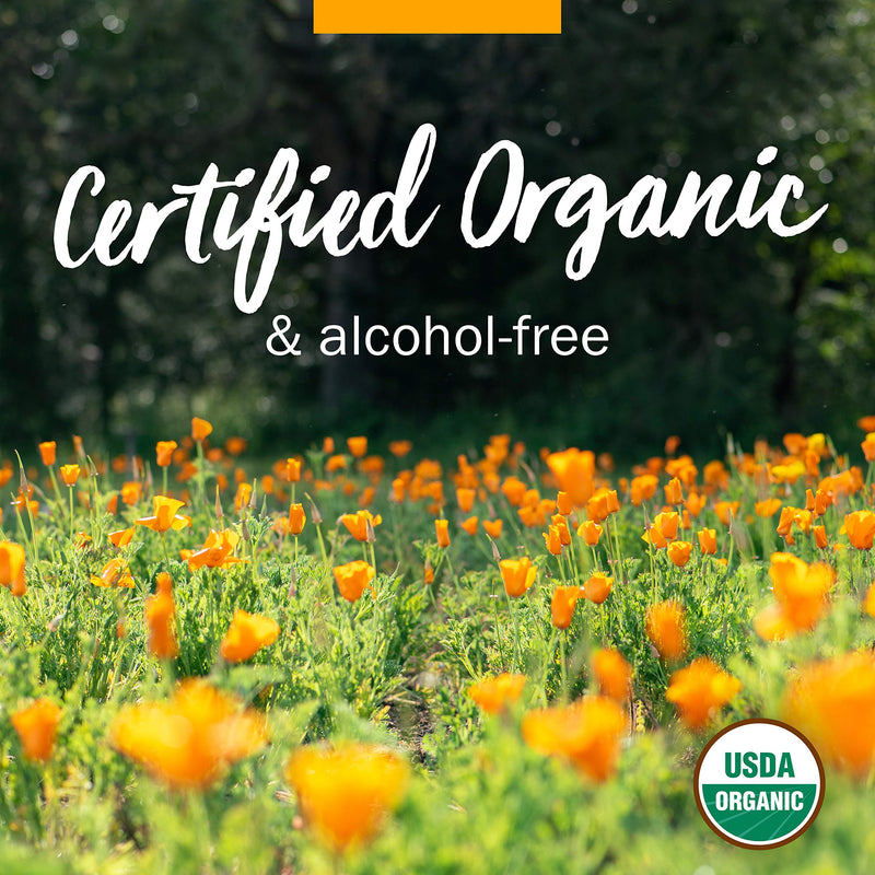 Herb Pharm Certified Organic Valerian Root Liquid Extract for Relaxation and Restful Sleep, Alcohol-Free Glycerite, 1 Ounce 1 Fl Oz (Pack of 1) - NewNest Australia