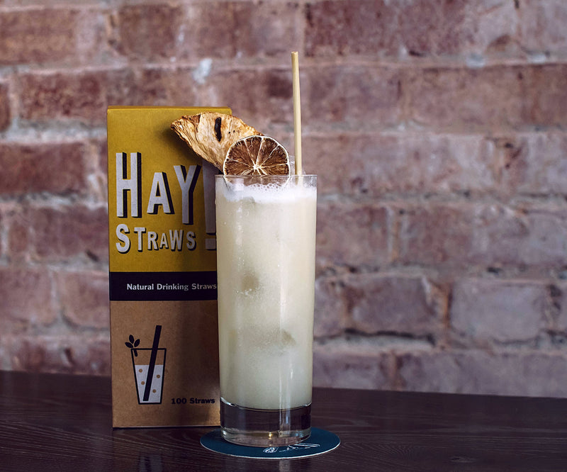 NewNest Australia - HAY! Natural Drinking Straws, Tall 7.75'' 