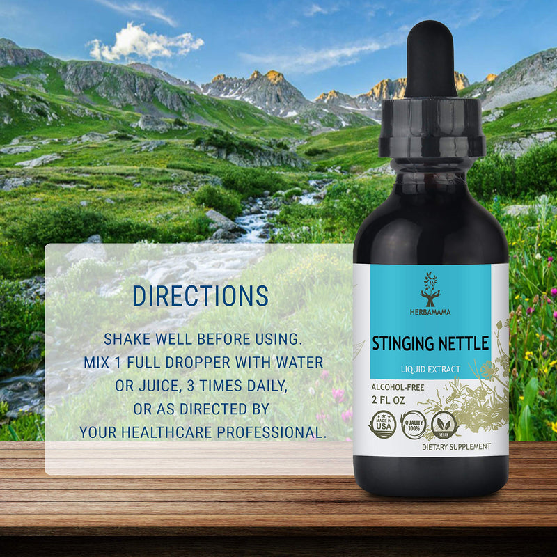 HERBAMAMA Stinging Nettle Liquid Extract - Urtica Dioica Root Diet Supplement - Natural Non-GMO Homeopathic Support - Promotes Cleansing, Pain Relief & Normal Blood Pressure Levels - 2 fl. Oz Bottle 2 Fl Oz (Pack of 1) - NewNest Australia