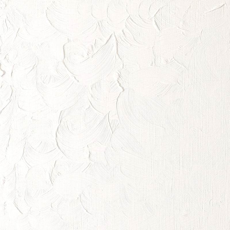 Winsor & Newton 1437644 Winton Oil Color Paint, 200-ml Tube, Titanium White - NewNest Australia