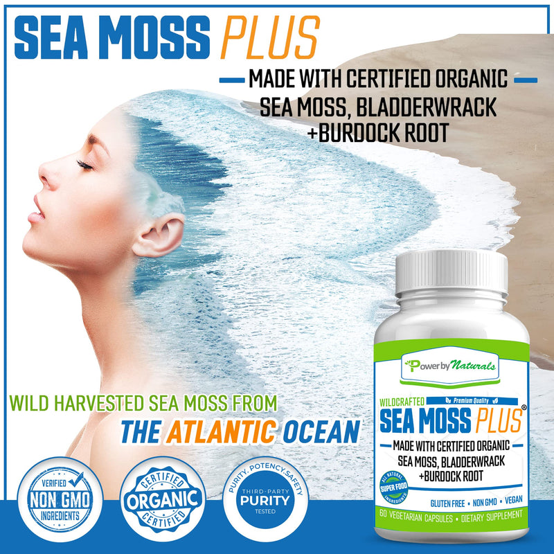 Power By Naturals Certified Organic Sea Moss Plus Supplements with Wildcrafted Irish Sea Moss, Bladderwrack, and Burdock Root, Pure Sea Moss Supplement, Vegan, No Fillers, 60 SeaMoss Powder Capsules - NewNest Australia