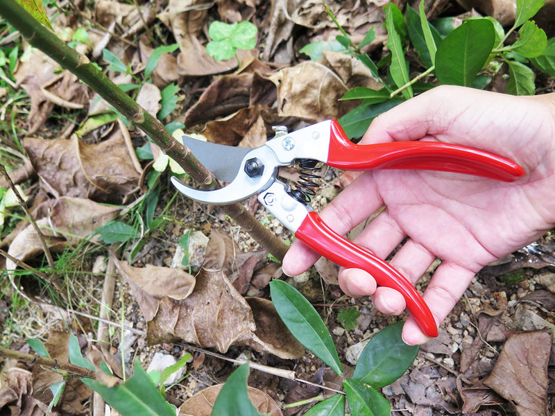 Mesoga Pruning Shears 8 Inch, Hand Pruners SK-5 Steel Blade, Garden Clippers Tools, Tree Trimmers, Bypass Branches Cutters Scissors - NewNest Australia