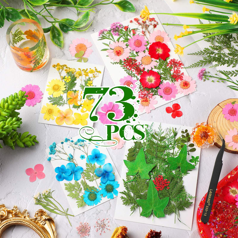 Pressed Flowers Resin Flowers for Resin Mold, Real Daisy Dried Flower Leaves Natural with Tweezers for Scrapbooking DIY Candle Accessories Jewelry Crafts Making (Colorful Style) Blue, Red, Yellow, Green - NewNest Australia