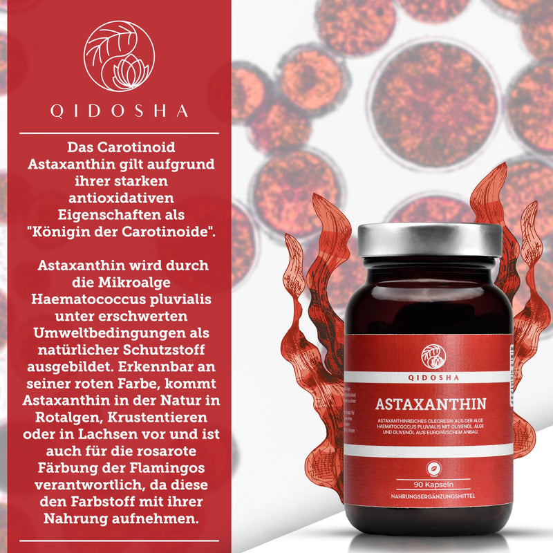QIDOSHA® Astaxanthin 12mg from EU raw materials, 12mg astaxanthin per capsule plus olive oil, 90 capsules in a glass, vegan astaxanthin, high-dose liquid astaxanthin from Portuguese algae farming - NewNest Australia