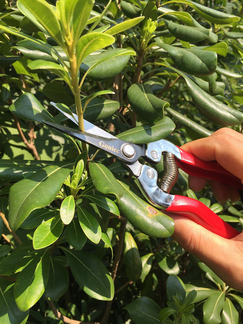 gonicc Professional Micro-Tip Pruning Snip (GPPS-1008), Small Garden Hand Pruner & Shears for Arranging Flowers, Trimming Plants & Hydroponic Herbs, and Harvesting Fruits & Vegetables. - NewNest Australia