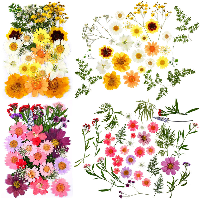 Dried Pressed Flower and Butterfly Transparent Sticker Set, Natural Real Dried Flower Butterfly Scrapbook Decal with Box and Curved Tweezers for DIY Decoration Resin Making (Bright Series) Bright Series - NewNest Australia