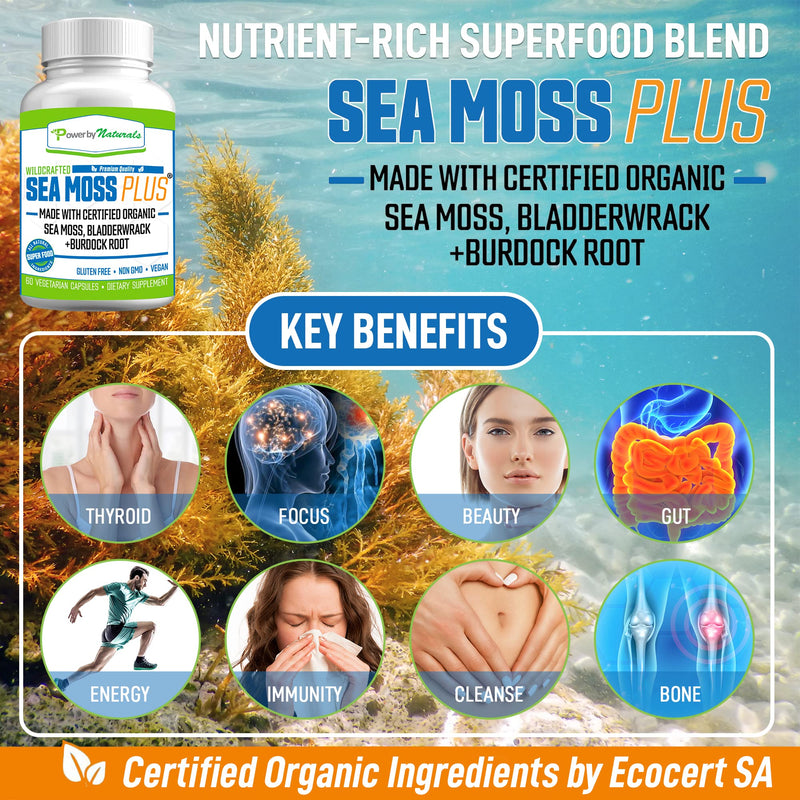 Power By Naturals Certified Organic Sea Moss Plus Supplements with Wildcrafted Irish Sea Moss, Bladderwrack, and Burdock Root, Pure Sea Moss Supplement, Vegan, No Fillers, 60 SeaMoss Powder Capsules - NewNest Australia