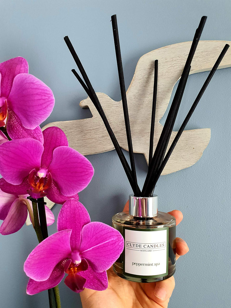 Peppermint Spa Reed Diffuser - Clyde Candles, Luxury Diffuser Oil with a Set of 7 Fibre Sticks, 100ml, Best Aroma Scent for Home, Kitchen, Living Room, Bathroom. Fragrance Diffusers Set with Sticks - NewNest Australia