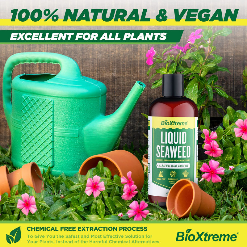 BIOXTREME Natural Liquid Seaweed Concentrate Helps to Increase Crop Yields, Plant Stress Resistance, Root Growth & Plant Development, Nutrient Uptake - 16 FL OZ - NewNest Australia