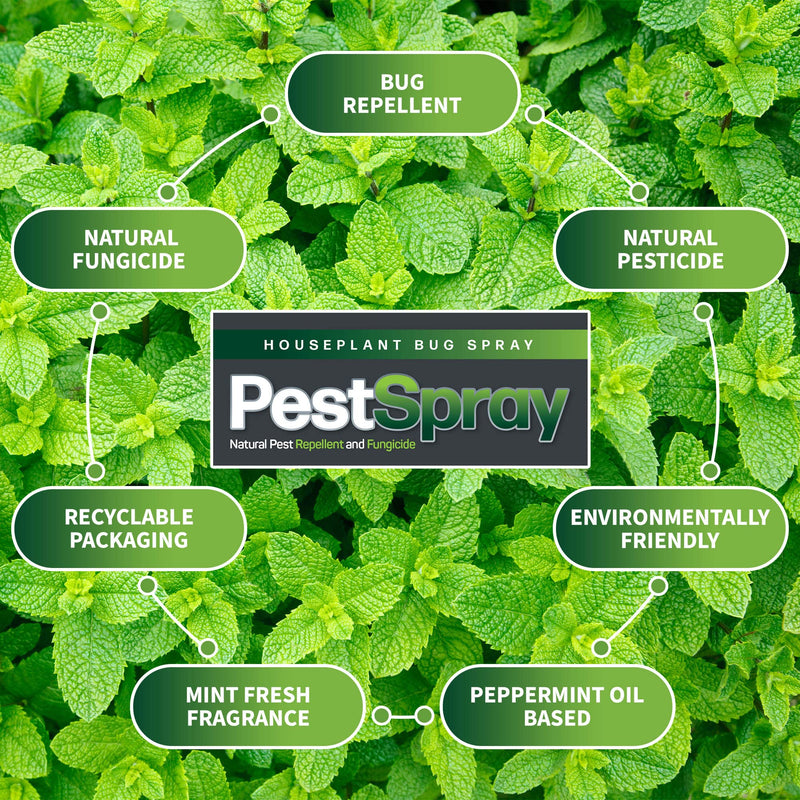EFA International Houseplant Bug Spray, PestSpray, Natural Pest Repellent & Fungicide, Plant Spray, Bug Control Repellent, Peppermint Oil Spray, Indoor Plants, 150ml Spray Bottle - NewNest Australia