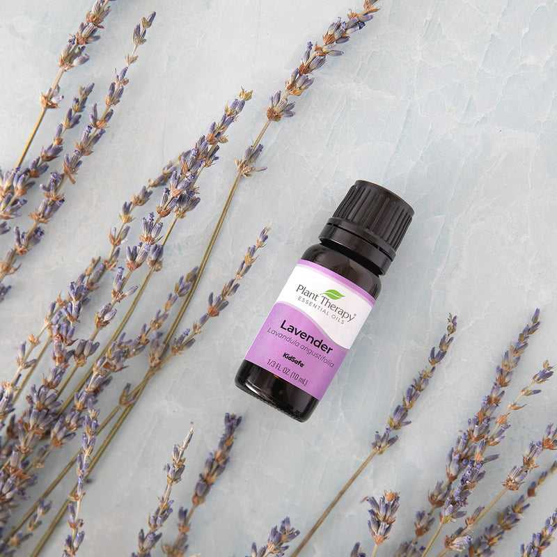 Plant Therapy Lavender Essential Oil 100% Pure, Undiluted, Therapeutic Grade 10 mL (1/3 oz) 0.34 Fl Oz (Pack of 1) - NewNest Australia