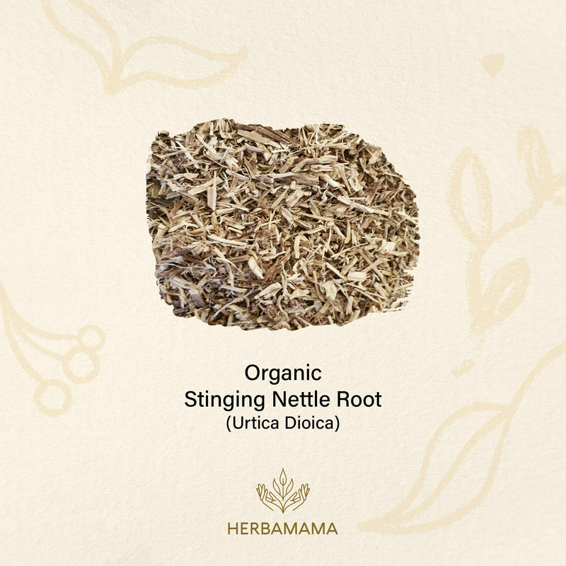 HERBAMAMA Stinging Nettle Capsules - 1200mg, 100 Capsules - Promotes Cleansing, Pain Relief & Normal Blood Pressure Levels - Urtica Dioica Root Extract Diet Supplement - Natural Non-GMO Herbal Support - NewNest Australia